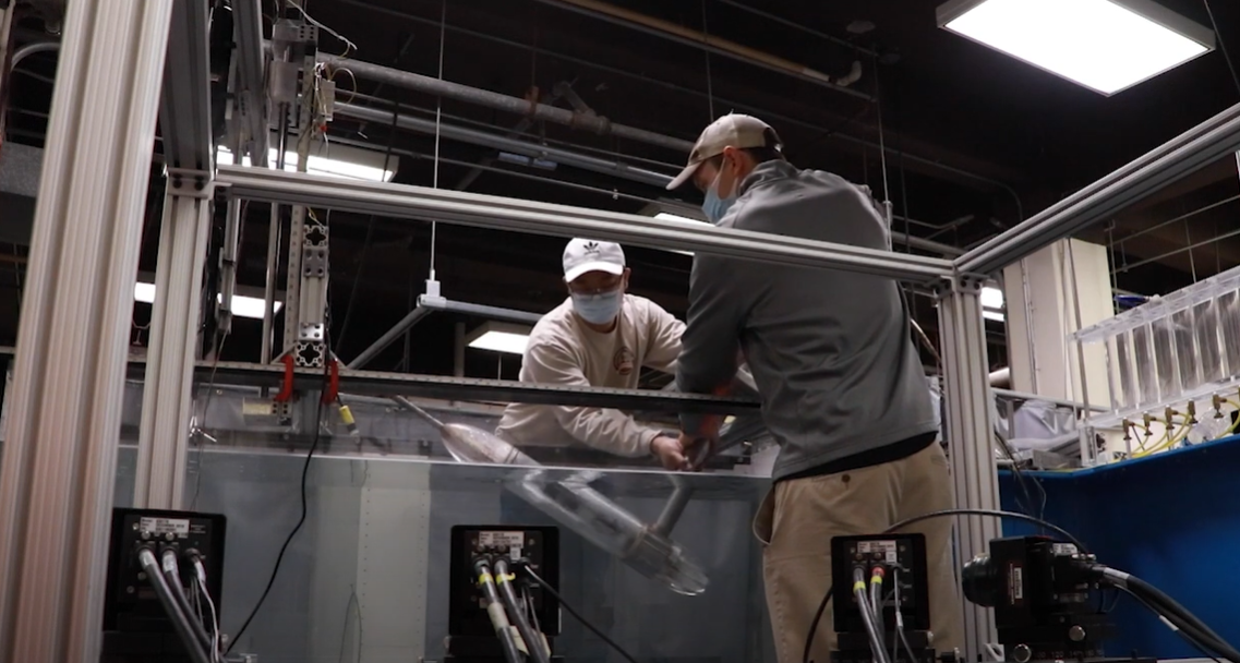 Video: Engineering an alternative energy source | P.C. Rossin College ...