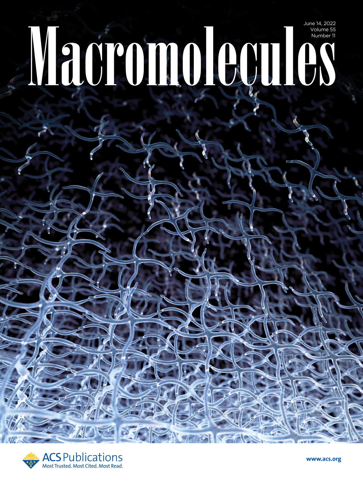Cover of Macromolecules with illustration by Sayo Studio