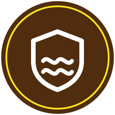 Engineering Against Natural Disasters FYRE module icon