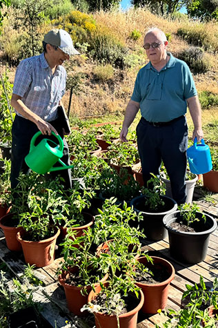 Himanshu Jain and Juan Rubio with experiment involving glass fertilizers and tomato plants