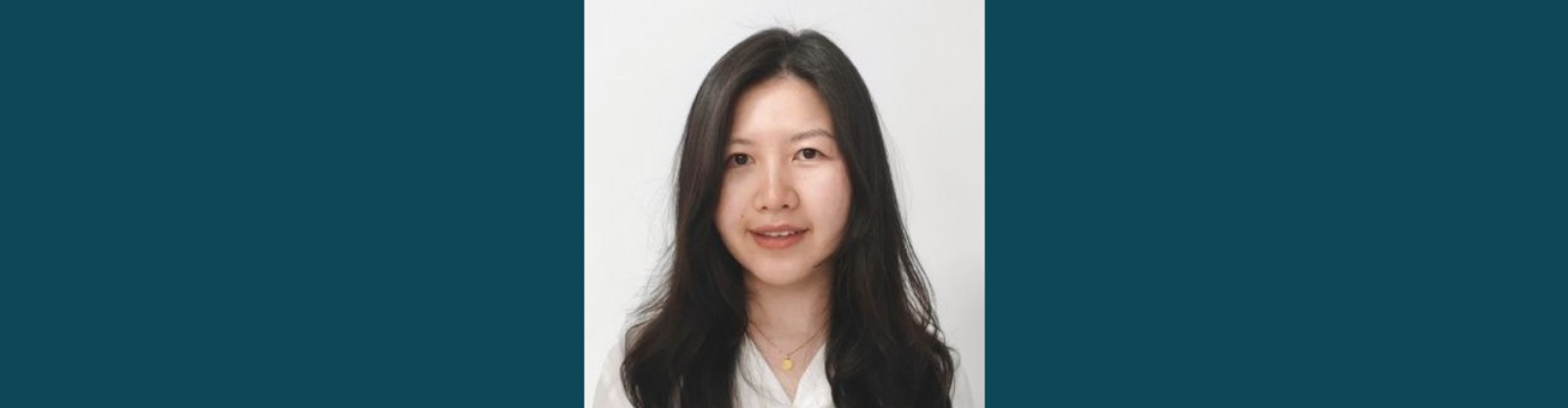 Lehigh ISE Assistant Professor, Meng Zhao