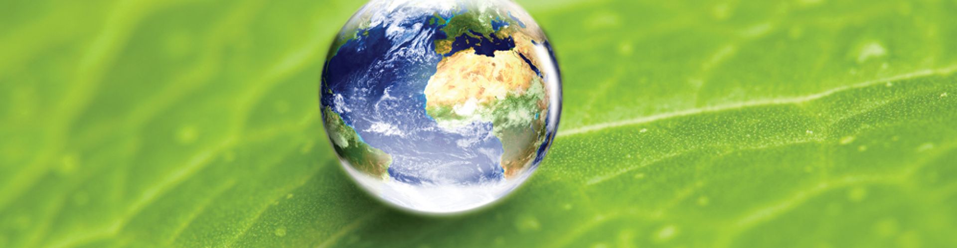 Environmental Engineering