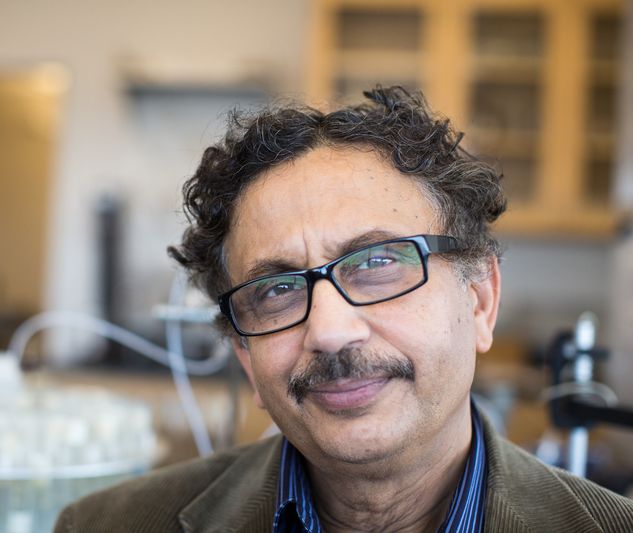 Arup SenGupta