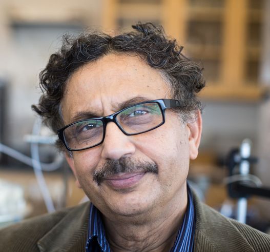 Arup SenGupta