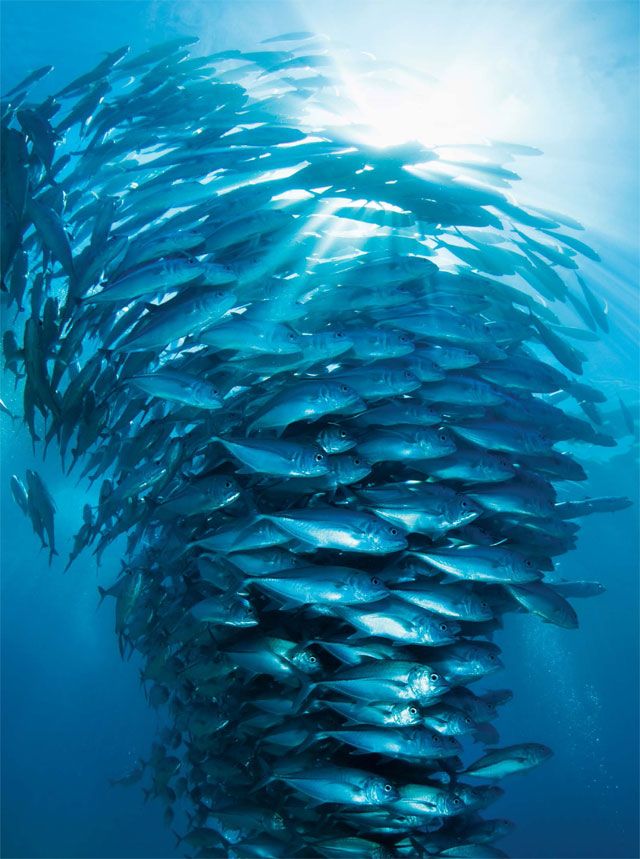 Photo courtesy Lehigh University / Research Review