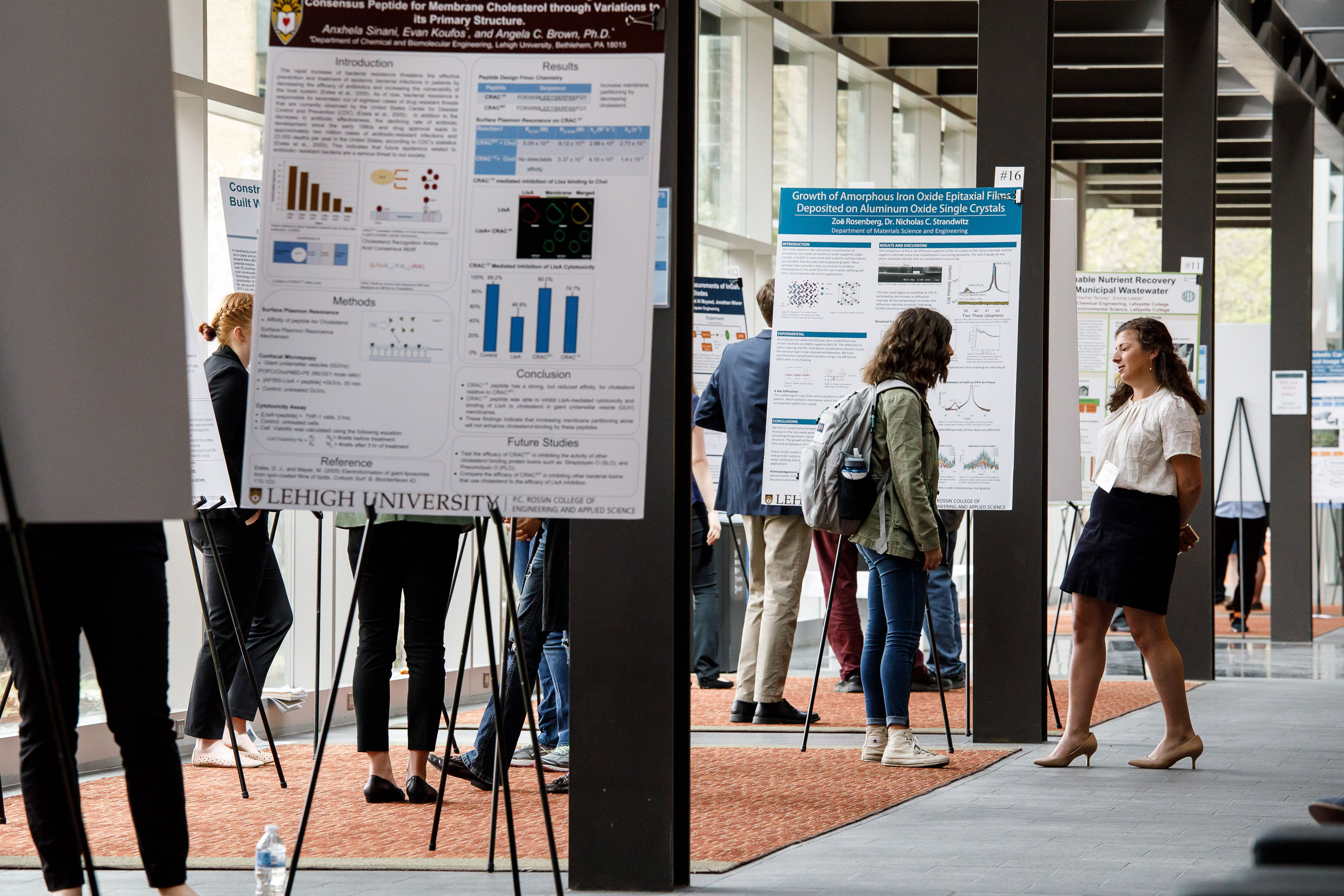 David and Lorraine Freed Undergraduate Research Symposium