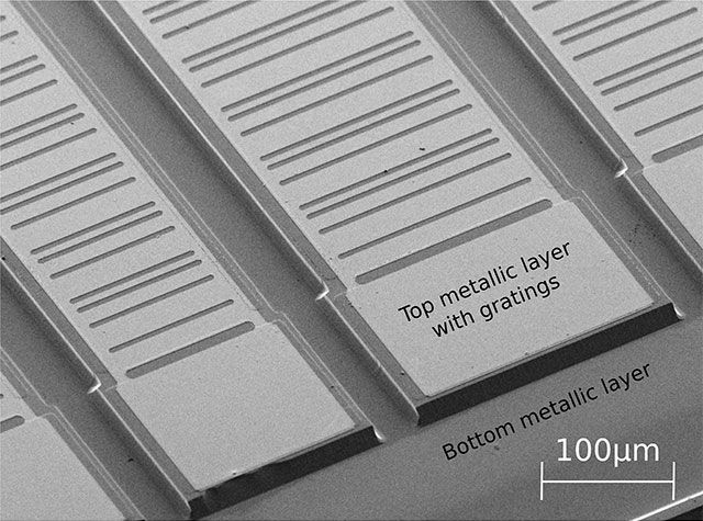 scanning electron microscope image 