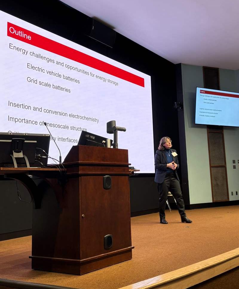 Amy Marschilok, a professor of chemistry at Stony Brook University, who provided the insight on energy storage