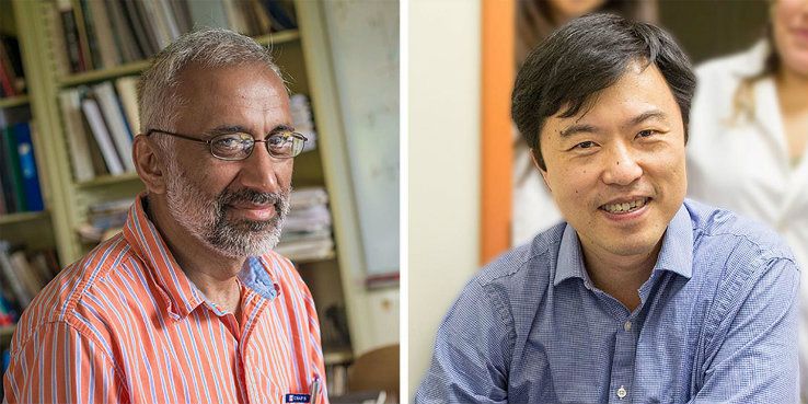 Anand Jagota and Frank Zhang