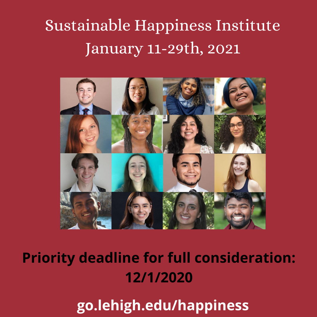 Sustainable Happiness Institute