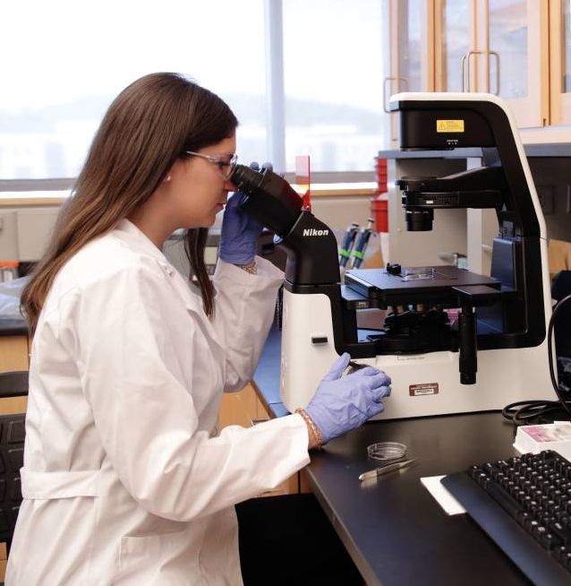 Graduate student in Chow Lab