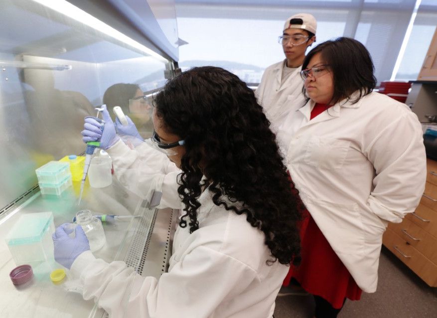 Student working in lab