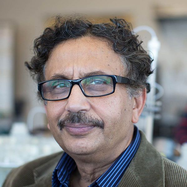 Arup K. SenGupta