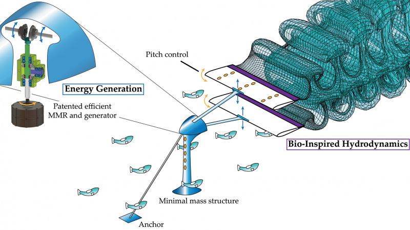 bio-inspired hydrokinetic energy system