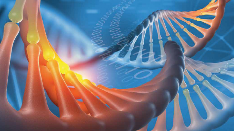 DNA and data