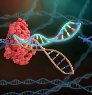 Artist rendering of CRISPR gene editing technology; Credit: Nathan Devery com/Adobe Stock