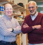 Brian Davison and Anand Jagota