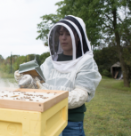 Helen Tynes beekeeping