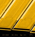 Kumar has conducted five years of experimental and theoretical research on plasmonic lasers. (Image courtesy of Sushil Kumar)