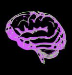 Stock illustration of three views of human brain with purple and green neon colors by local_doctor/Adobe Stock