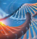 DNA and data 