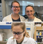 Diana Hammerstone, Sarah Boyer, Ashleigh Crawford