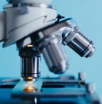 Microscope image by Konstantin Kolosov from Pixabay 