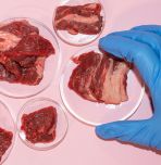 Conceptual photo illustration of lab-cultured meat