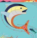 Schematic of tuna swimming