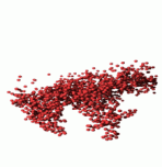 dry a colloid-polymer film simulation