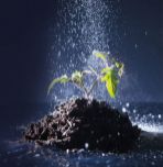 Advanced milling technique produces novel 'green' fertilizer
