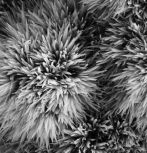 nanoscale features of biomaterials