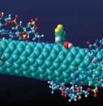 Advancing ovarian cancer detection
