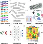 A figure illustrating "Perception-based nanosensor platform for protein biomarkers"