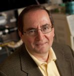 Israel E. Wachs, chemical and biomolecular engineering professor