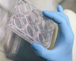 Bioengineering