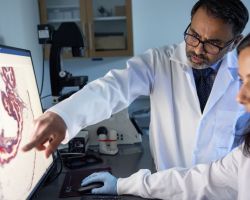 Faculty-guided research opportunities