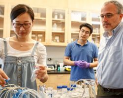 Civil and Environmental Engineering