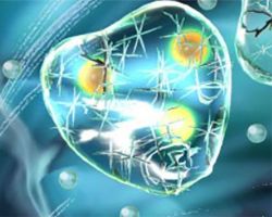 Chemical and Biomolecular Engineering
