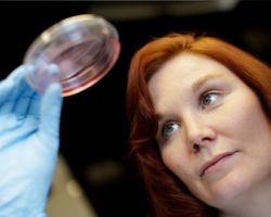 Materials Science and Engineering